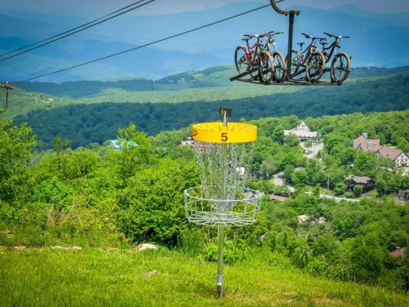 Disc Golf Basket with Mountain View in background.